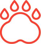 Доставляємо у притулки