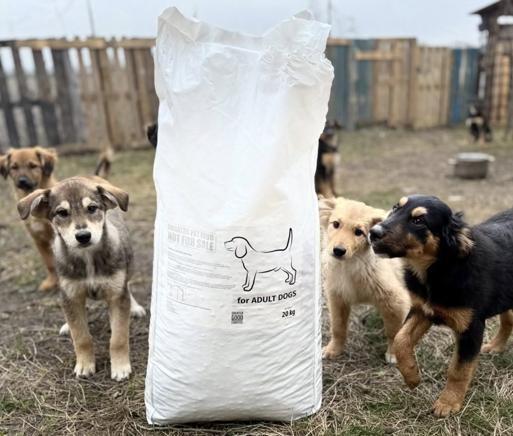 584757167_4228451250759822_6777303662842072118_n