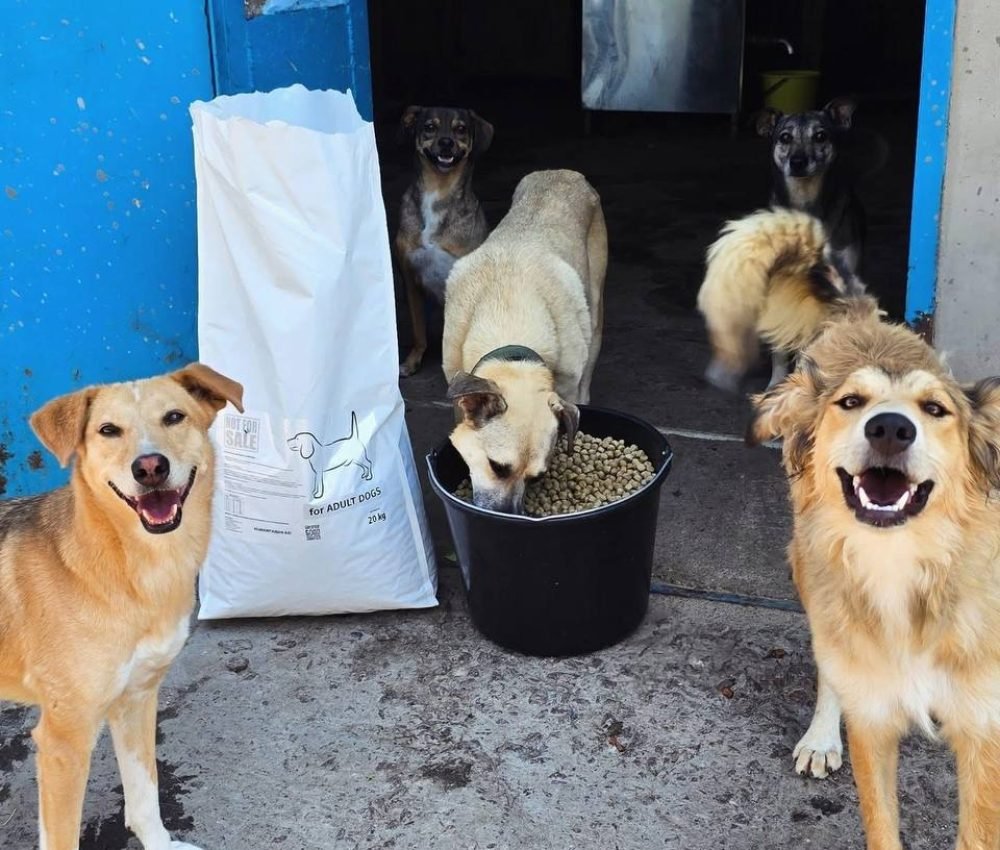 photo_2025-08-12_18-12-40