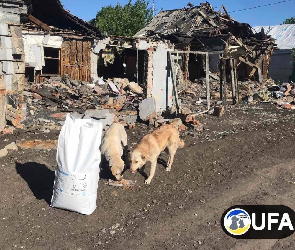 photo_2026-03-08_22-00-11