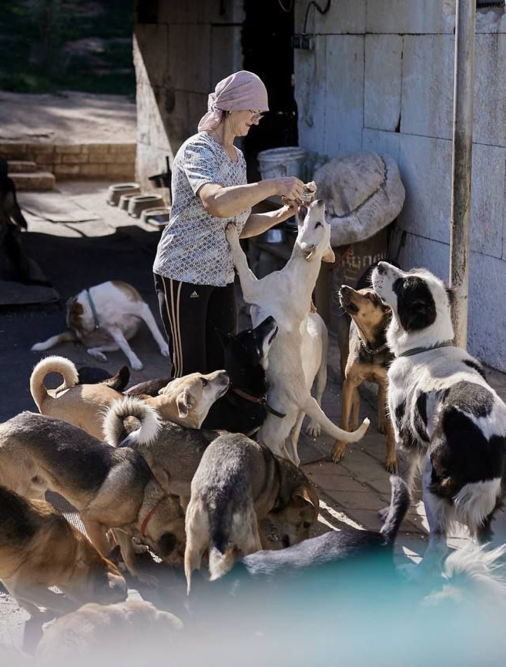 photo_2026-03-08_22-01-23