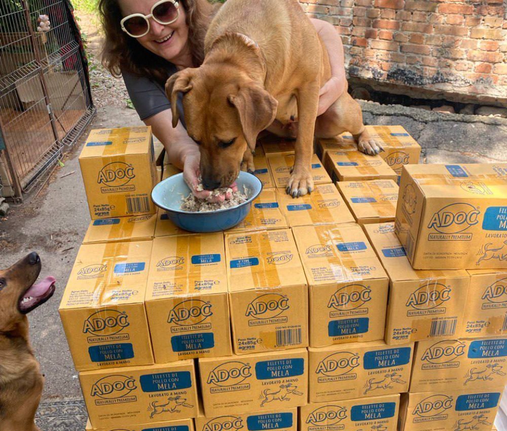 photo_2026-03-22_21-33-51