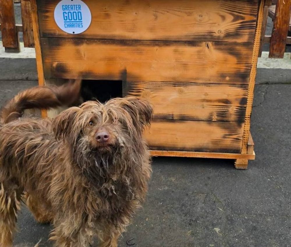 photo_2026-03-23_18-04-30