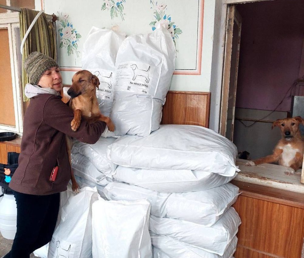 photo_2026-04-13_13-02-42